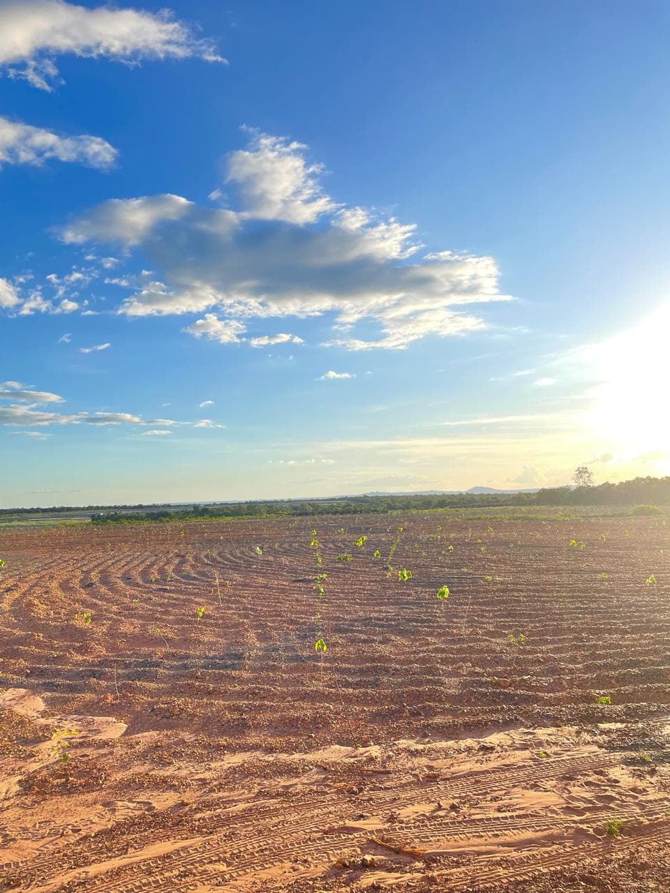 Operação ambiental da Emis Ambiental